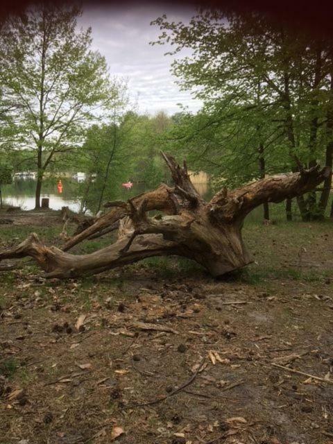 Ferienappartements Am See Schorfheide Eksteriør bilde